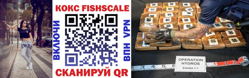 COCAIN FishScale  купить   Кудымкар 