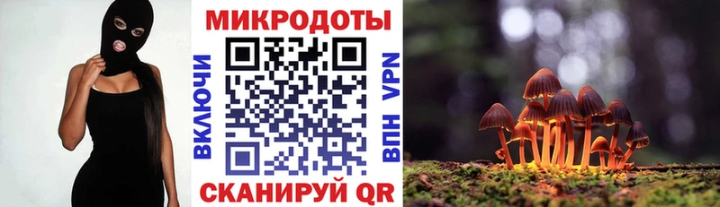 Псилоцибиновые грибы Cubensis где можно купить KRAKEN рабочий сайт Кудымкар